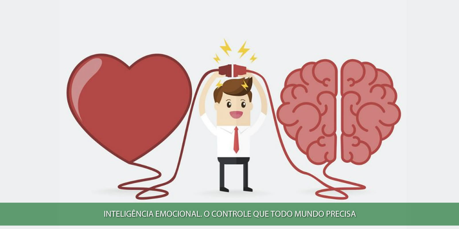 INTELIGÊNCIA EMOCIONAL. HABILIDADE INDISPENSÁVEL PARA O SUCESSO